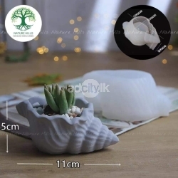Cactus pot mold