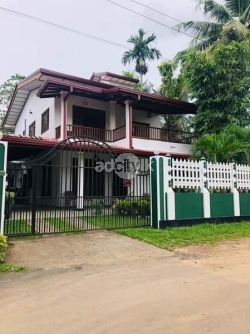 Need a house for rent around Negombo