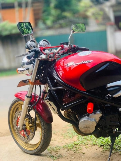 Bandit V 250 (badge model)